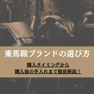 乗馬鞍ブランドの選び方|購入タイミングから購入後の手入れまで徹底解説