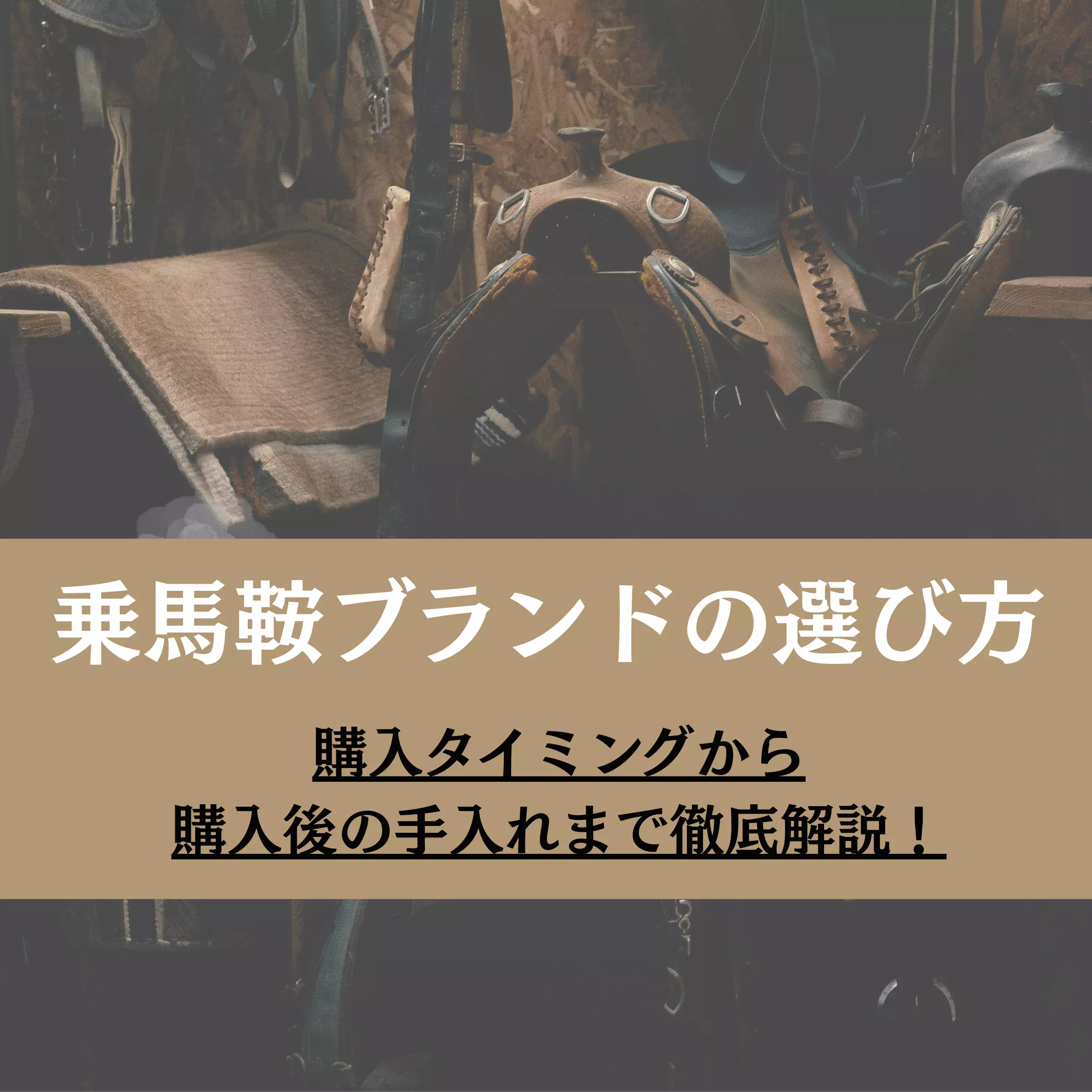 乗馬鞍ブランドの選び方|購入タイミングから購入後の手入れまで徹底解説