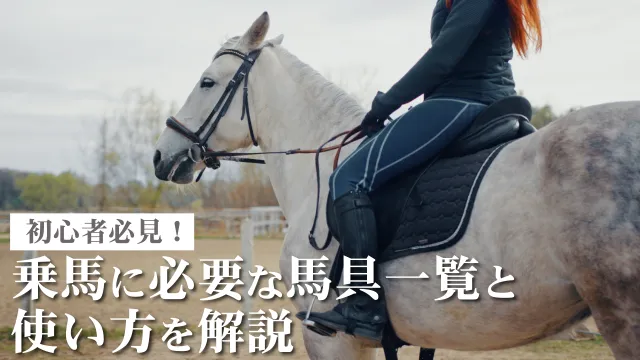 馬具 一覧 トップバナー