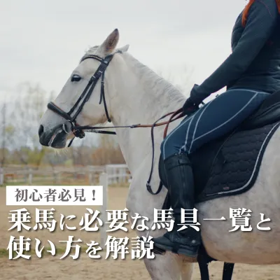 馬具 一覧 アイキャッチ