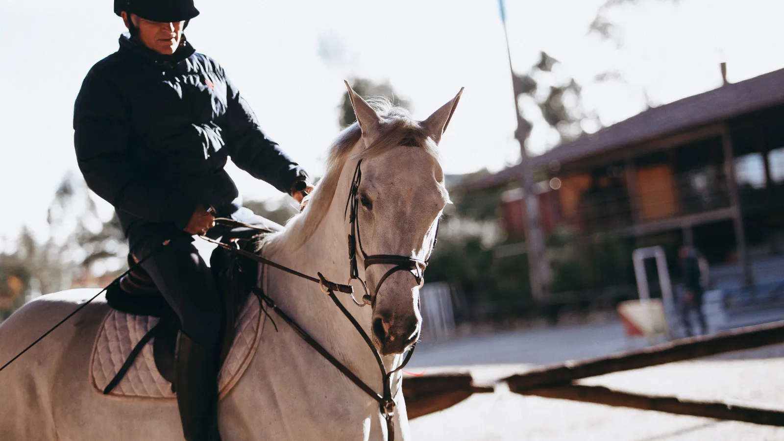習い事として乗馬を学ぶ魅力とメリット