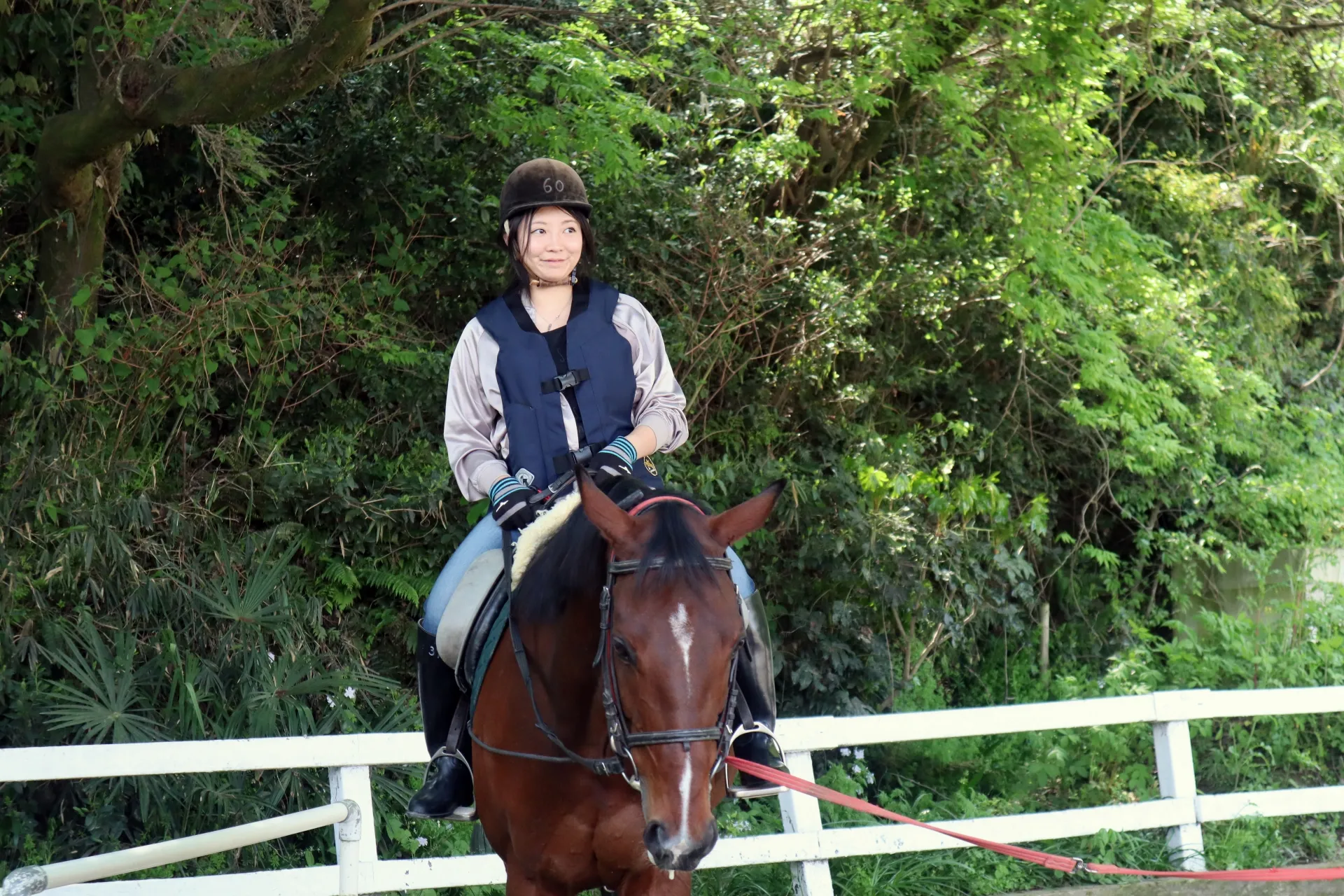 体験乗馬の流れと申し込み方法