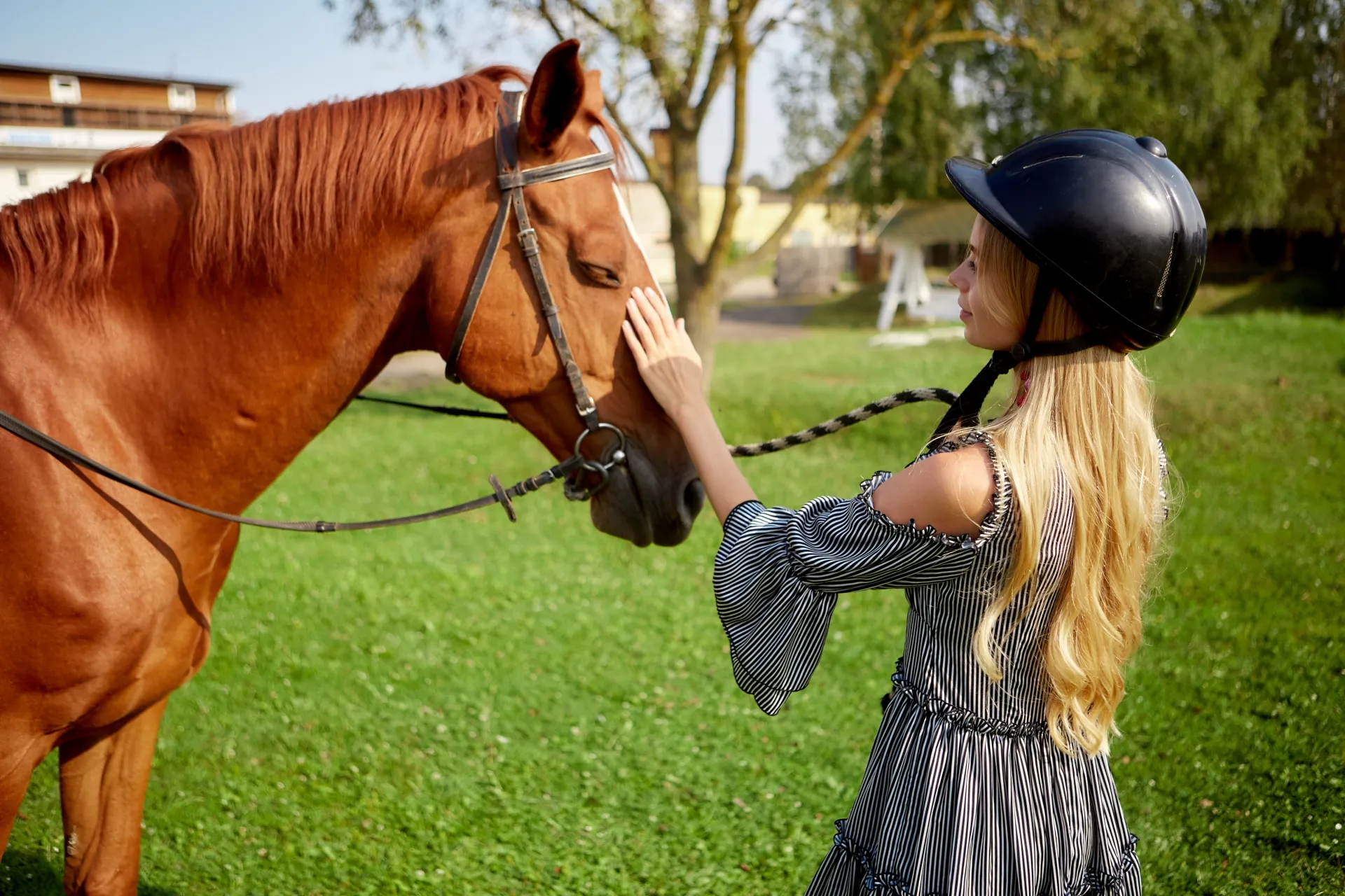 趣味として乗馬を楽しむ場合の費用と必要な器具