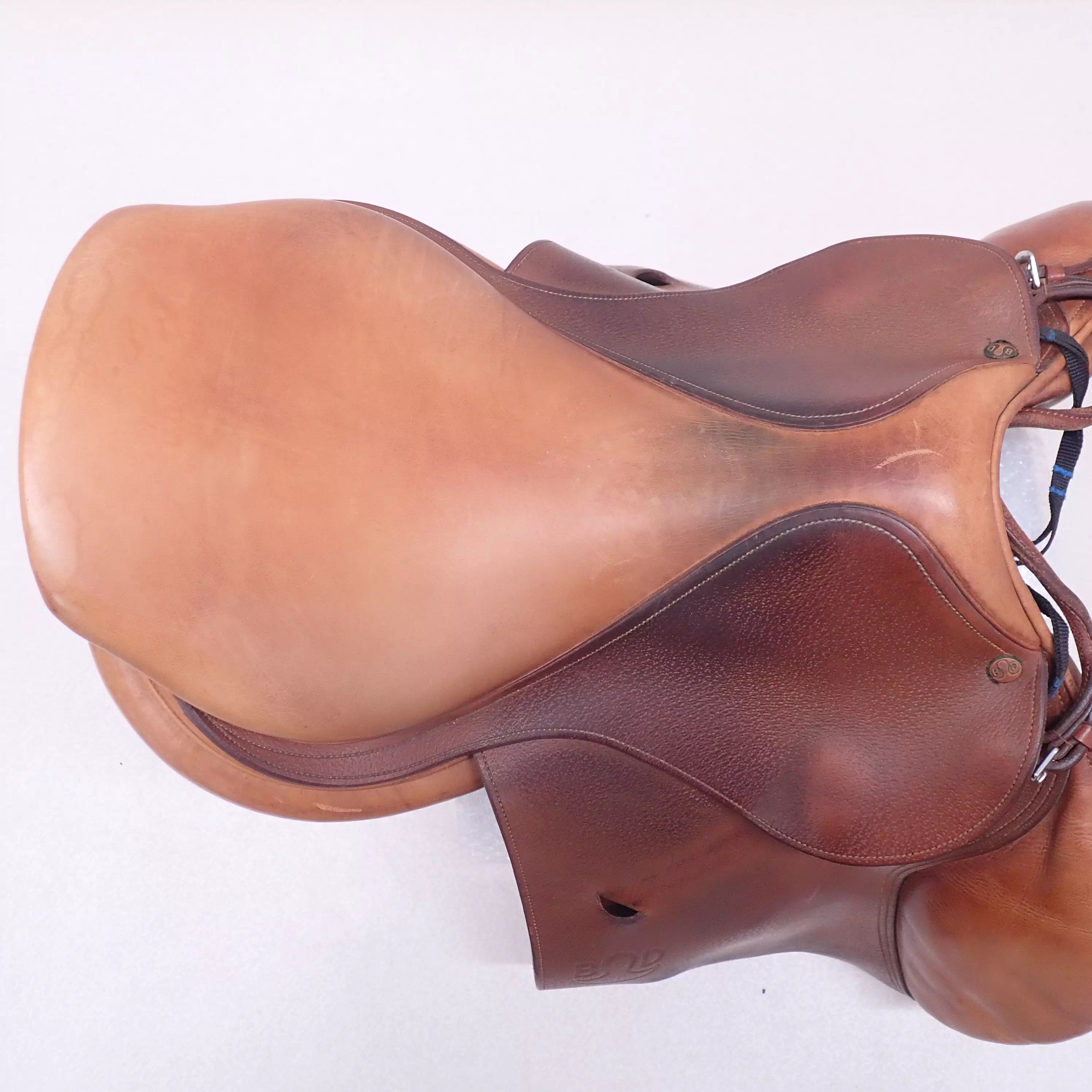 鞍の傷メンテンナンスチェックの様子