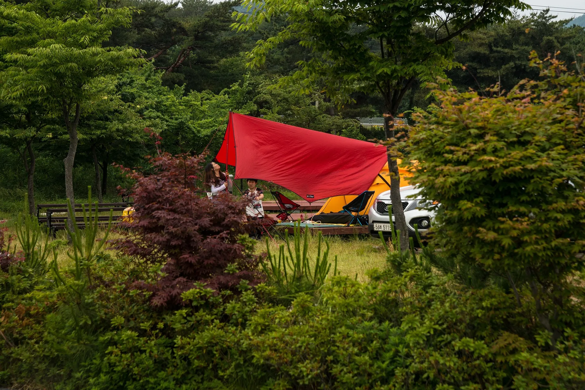 設営方法で選ぶ