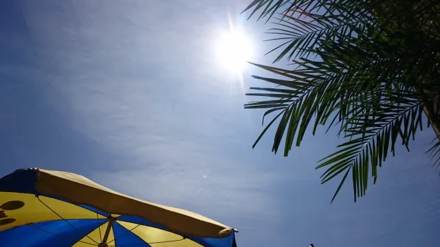 日差し・雨を避けられる