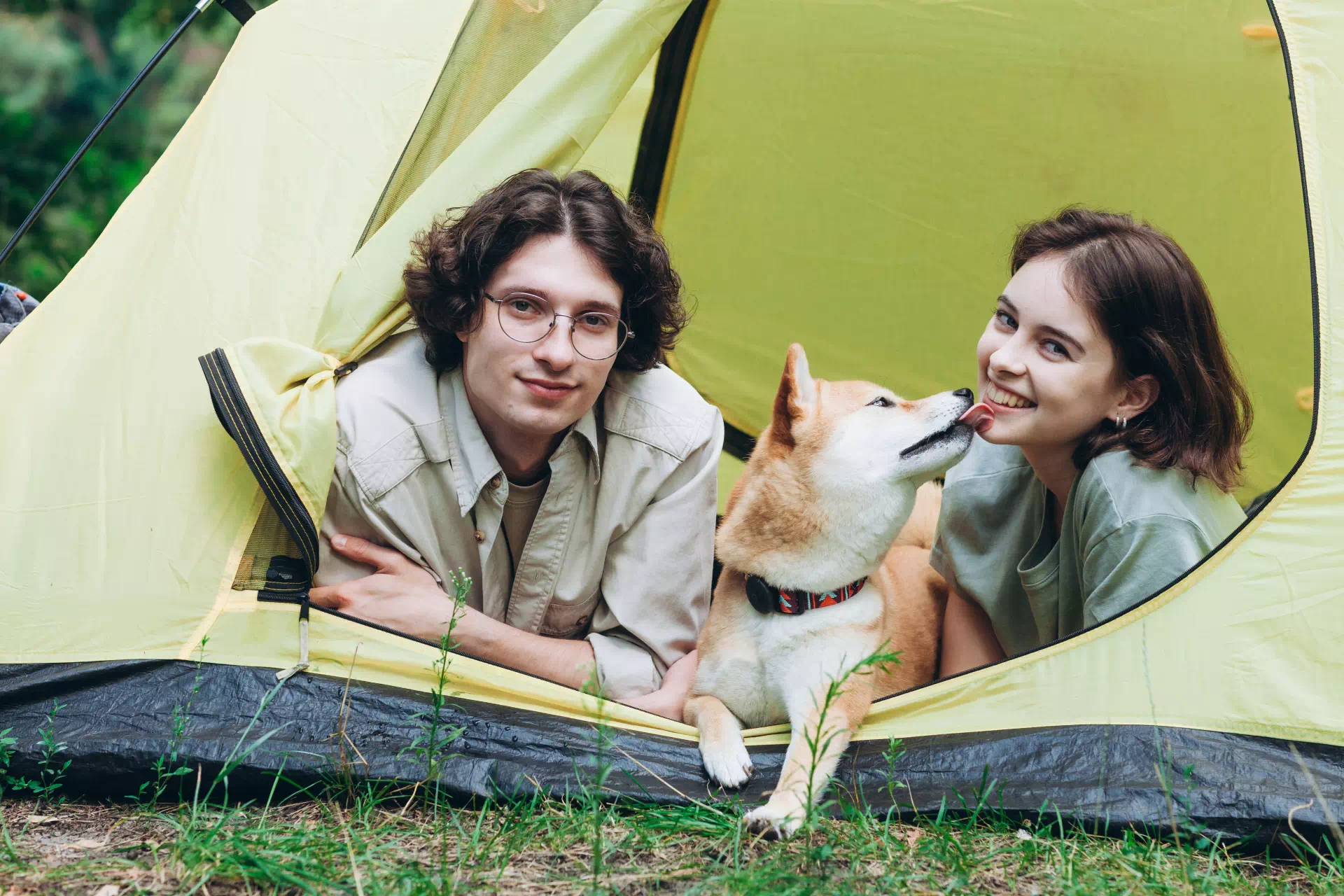 キャンプのテント