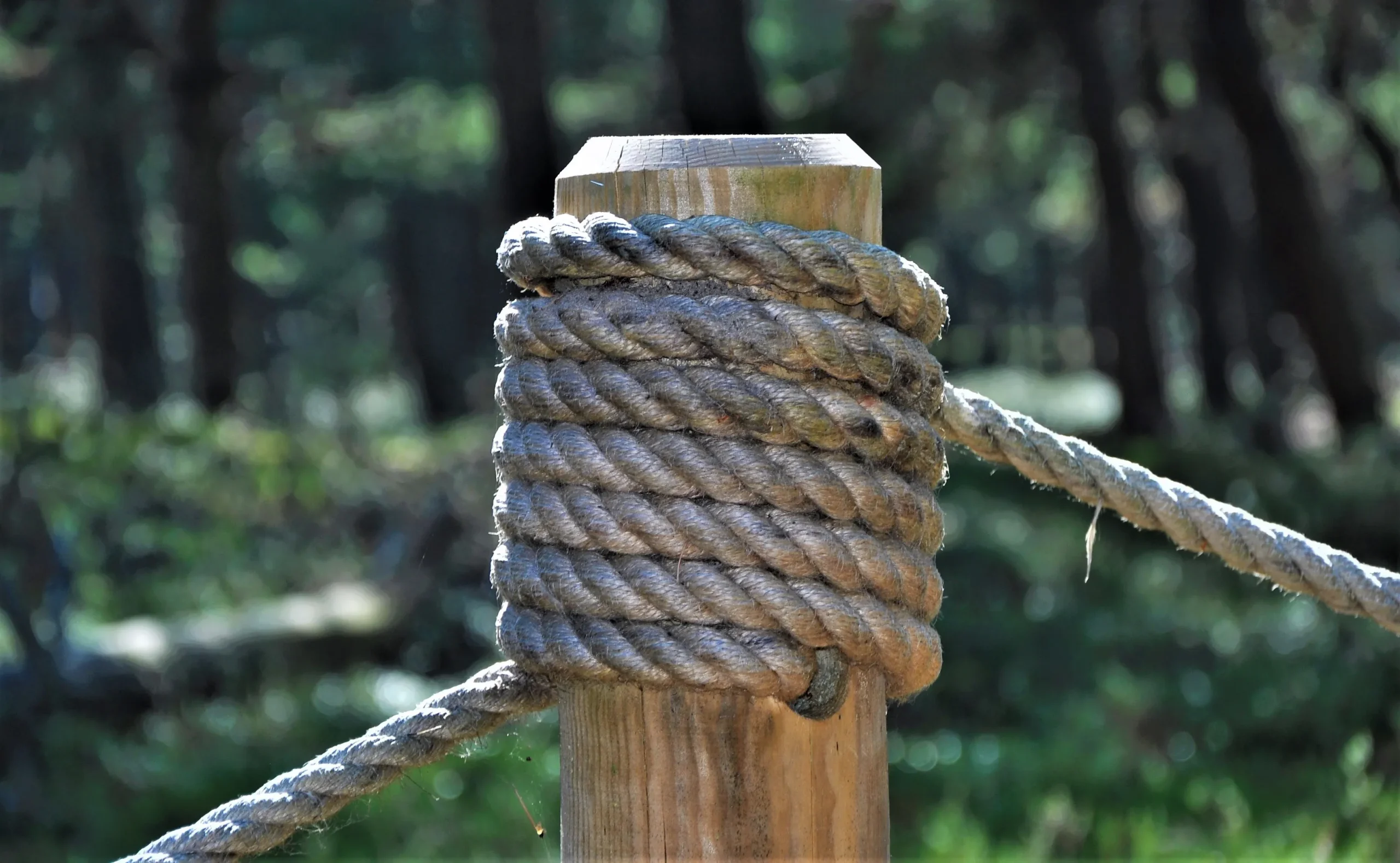 設営場所のルールを確認する