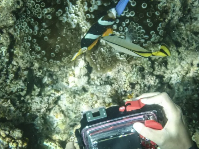 水中カメラまとめ